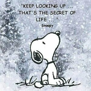 Meet your Posher, Eileen